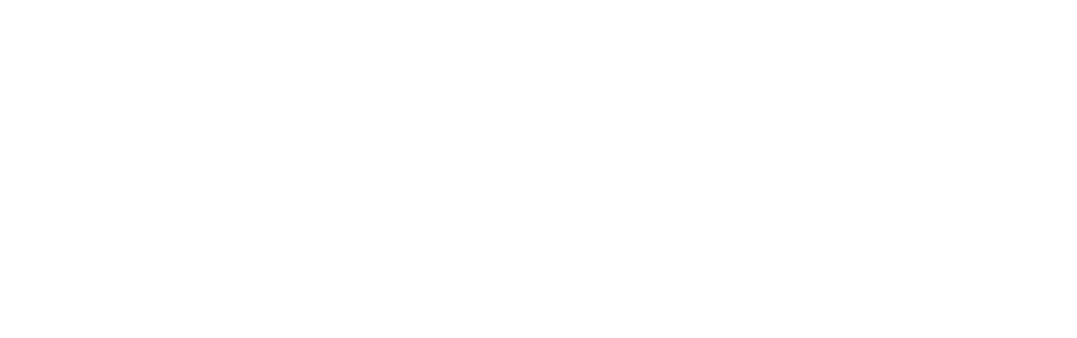 Brother 1908 scroll image