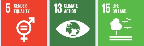 Development Goals Banner